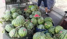 砀山最新吃瓜爆料事件,揭秘神秘事件背后的真相