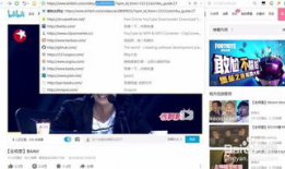 怎么下载b站视频,B站视频下载全攻略